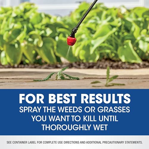Weed & Grass Killer Concentrate, 0.5 gal A875007