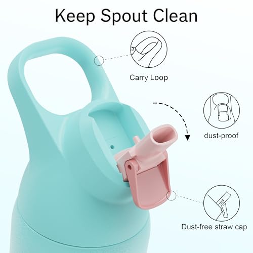 Insulated Stainless Steel Water Bottle with Straw, 24 oz X205853