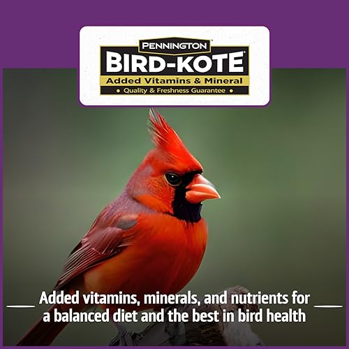 Wild Bird Seed for Outside Feeders, High-Protein, No-Waste, 15-lb Bag F570741