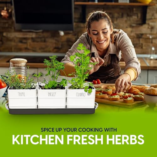 Herb Pot Planter Set with Tray for Indoor or Outdoor Use, White Metal Q3093