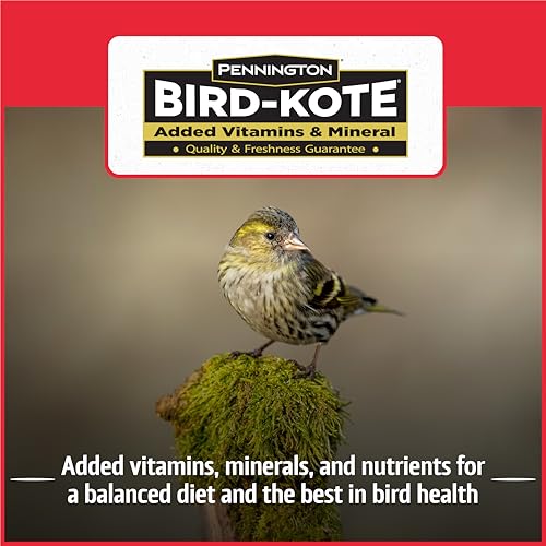 Wild Bird Seed for Outside Feeders, High-Protein, No-Waste, 15-lb Bag F570741