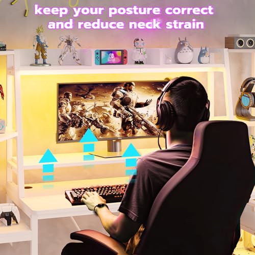 Gaming Desk with LED Lights, Hutch and Storage Shelves, Black R364