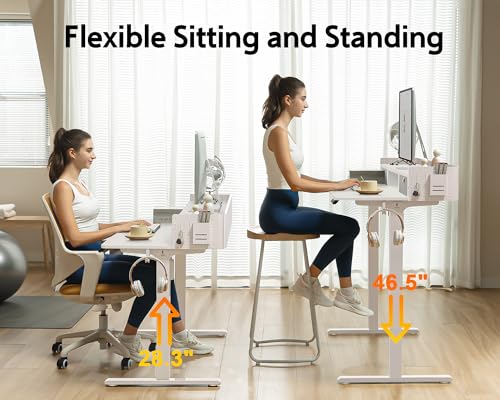 Electric Standing Desk with 2 Drawers, Height Adjustable for Home Office B137