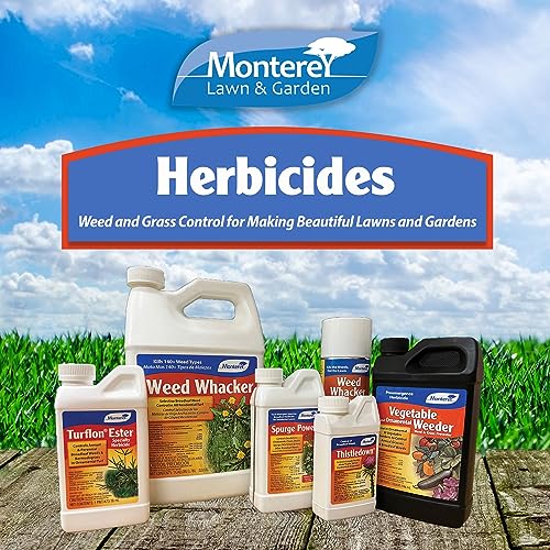 Spurge Power Herbicide, One Pint S23670