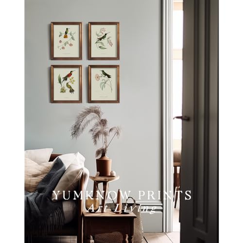 Hummingbird Botanical Flower Wall Art Poster W529066
