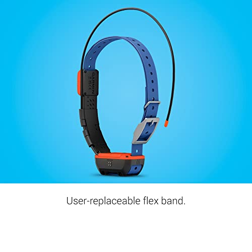 GPS Dog Tracking and Training Collar Z564136