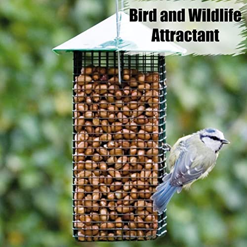 Wildlife Shelled Peanuts, 10 lbs for Birds and Squirrels Y354