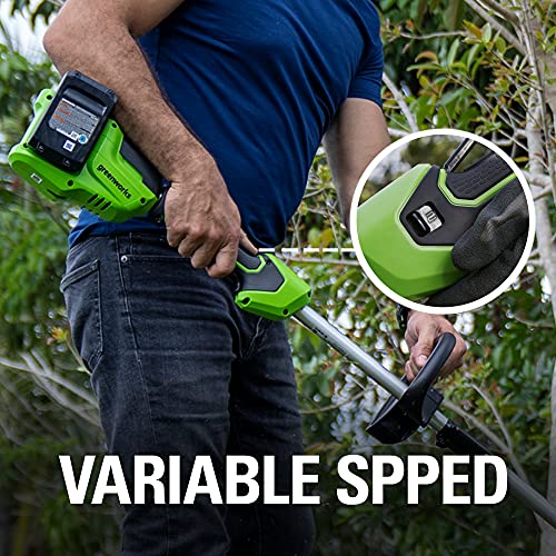 15" Cordless String Trimmer with 2.0Ah Batteries and Charger Z50999