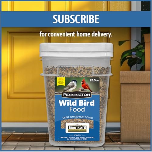 Wild Bird Seed for Outside Feeders, High-Protein, No-Waste, 15-lb Bag F570741