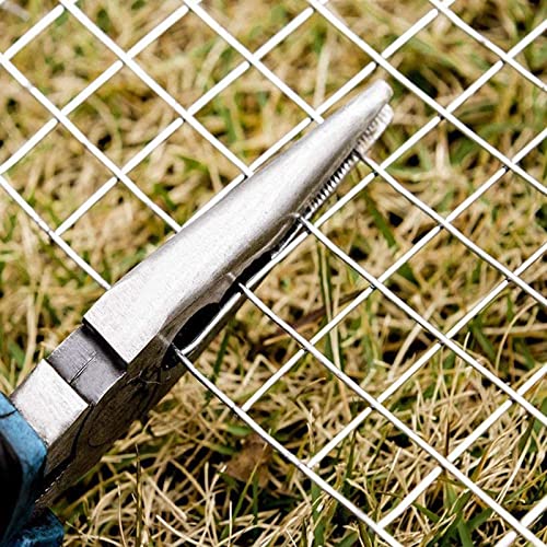 Galvanized Chicken Wire Mesh for Gardening and Poultry Fence I315