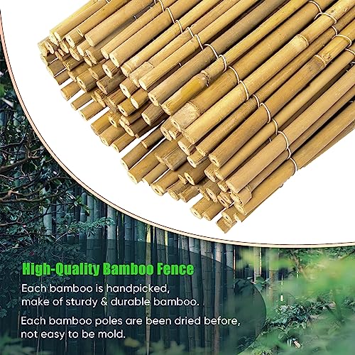 Natural Bamboo Fence Roll 6ft x 8ft Privacy Screen for Garden H625124