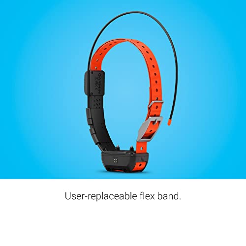 GPS Dog Tracking and Training Collar Z564136