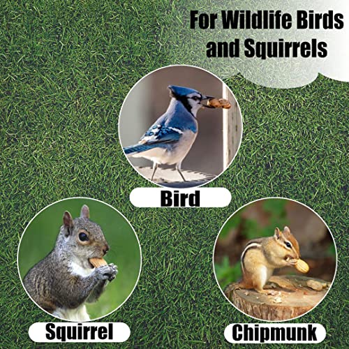 Wildlife Shelled Peanuts, 10 lbs for Birds and Squirrels Y354