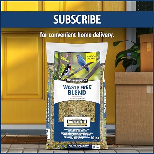 Wild Bird Seed for Outside Feeders, High-Protein, No-Waste, 15-lb Bag F570741
