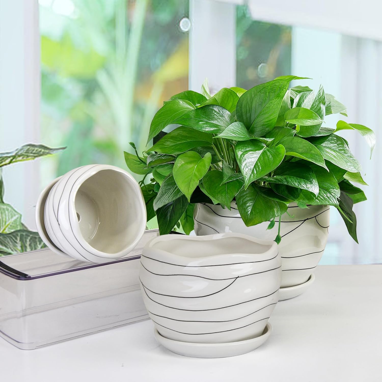 Ceramic Planter Set, 3 Sizes, Indoor Outdoor with Drainage Hole and Saucer T419377