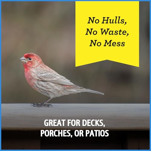 Wild Bird Seed for Outside Feeders, High-Protein, No-Waste, 15-lb Bag F570741