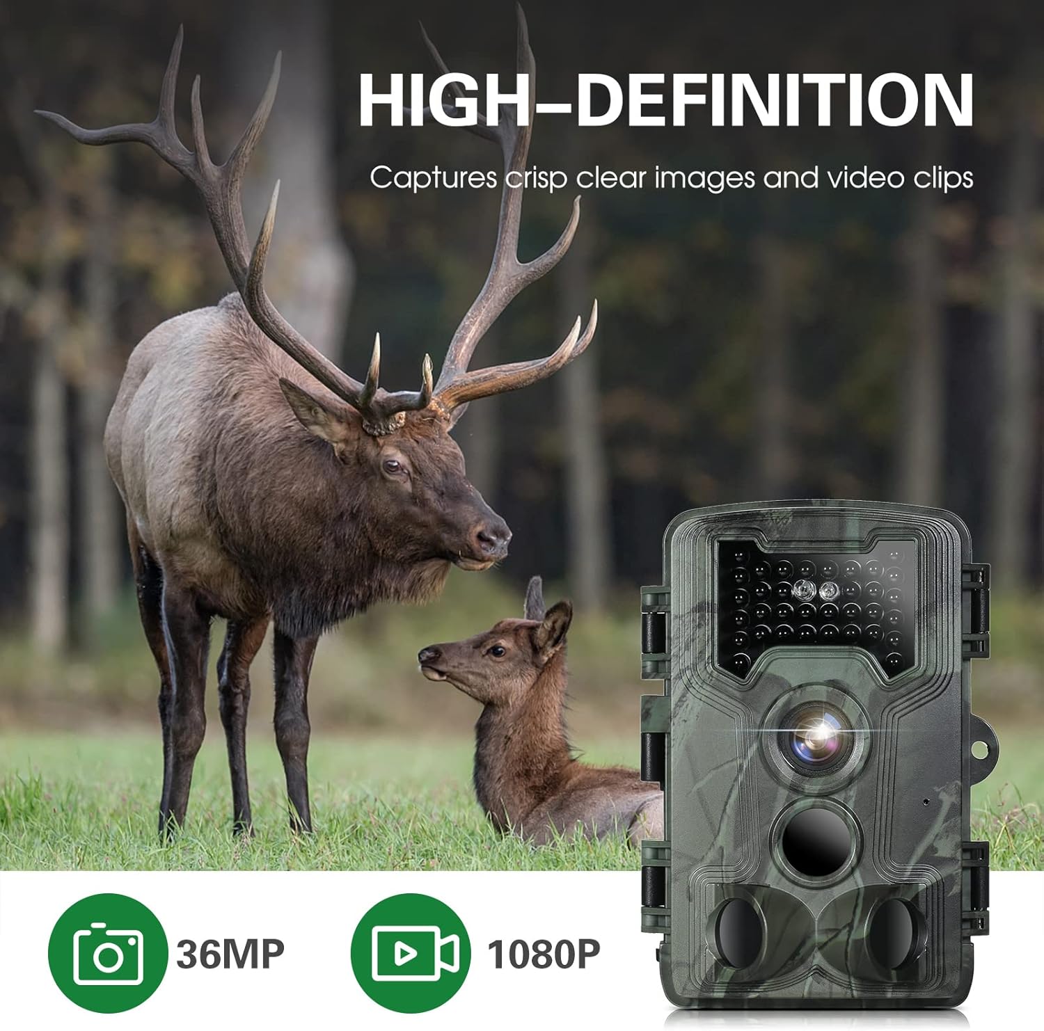 Trail and Game Camera with Night Vision, Motion Activated D129