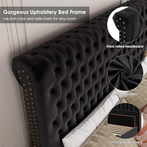 Velvet Upholstered King Bed Frame with Tall Headboard and Storage Drawers L58367
