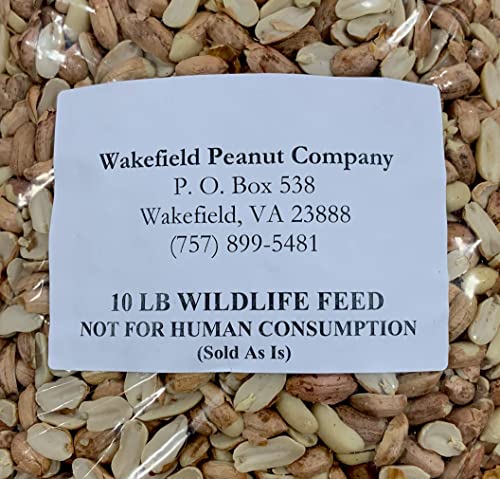 Extra Large Virginia Peanuts for Animals, 25 LBS C6196
