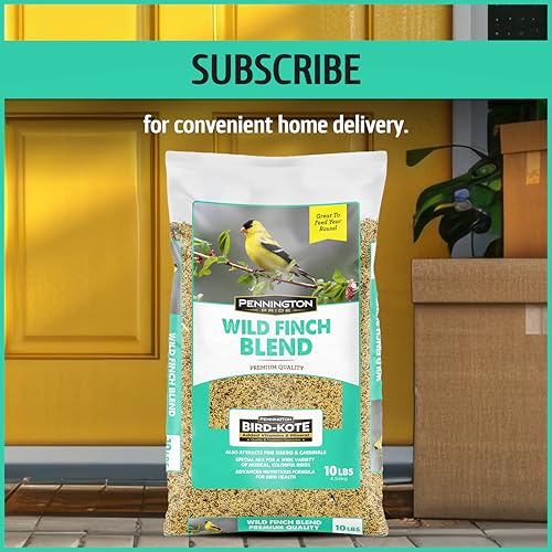 Wild Bird Seed for Outside Feeders, High-Protein, No-Waste, 15-lb Bag F570741