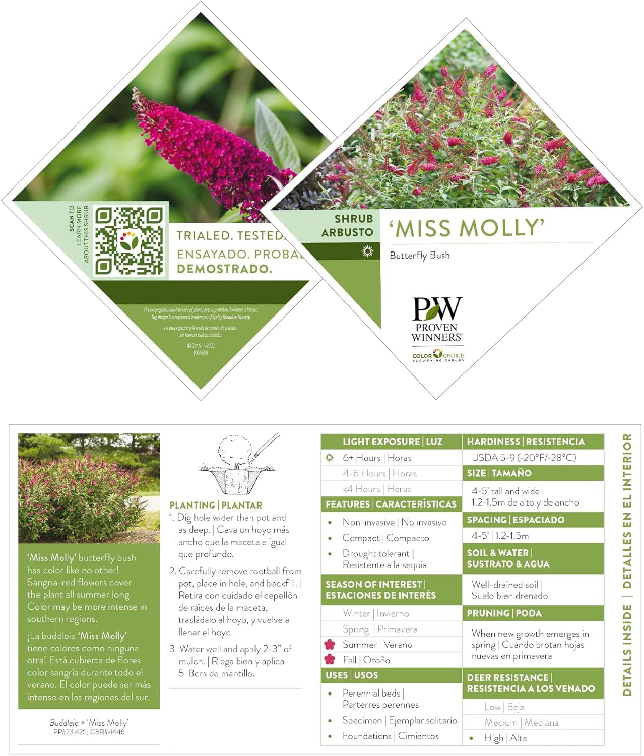 Pink and Red Buddleia 2 Gal Y54201