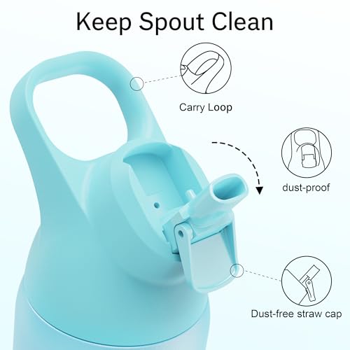 Insulated Stainless Steel Water Bottle with Straw, 24 oz X205853