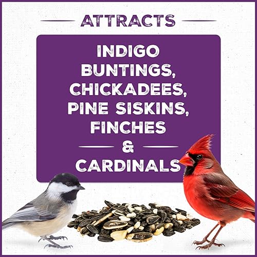 Wild Bird Seed for Outside Feeders, High-Protein, No-Waste, 15-lb Bag F570741