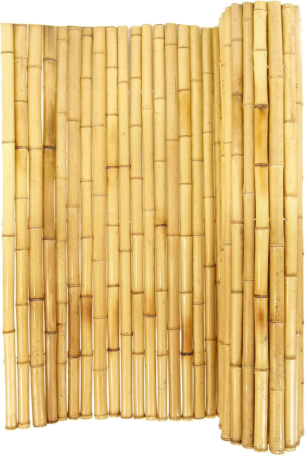 Backyard X-Scapes Natural Bamboo Fencing Decorative Rolled Fence Panel 0.75 in D x 6 ft H x 8 ft L