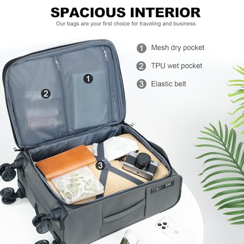 Softside Expandable Carry On Luggage with Spinner Wheels and TSA Lock, 20-Inch R869