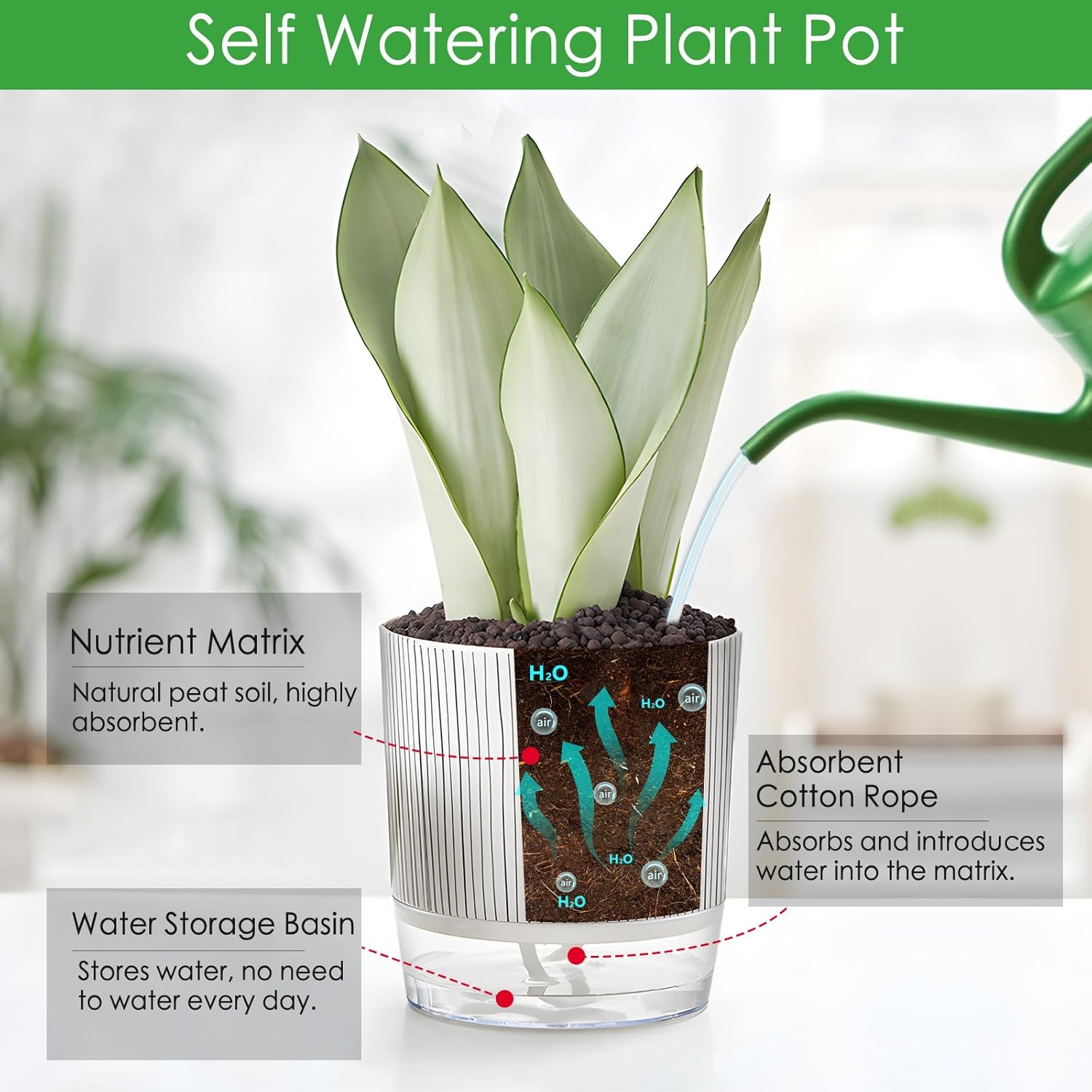 Self-Watering Pots for Indoor Plants with Wick Rope and Reservoir F680303