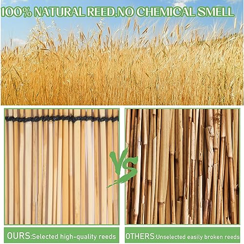 Natural Reed Fencing Privacy Screen for Garden Patio Outdoor Decor V369488