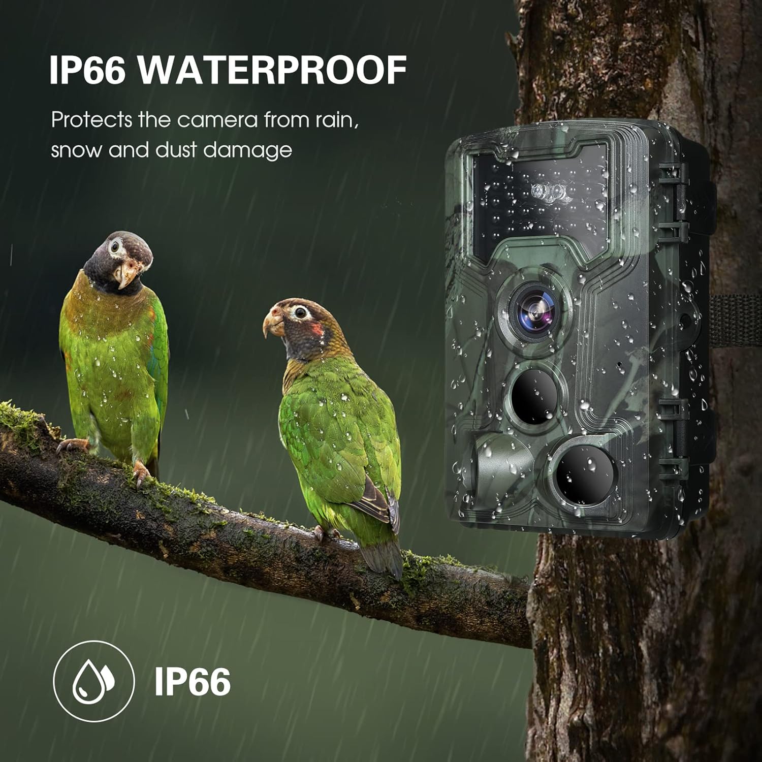 Trail and Game Camera with Night Vision, Motion Activated D129