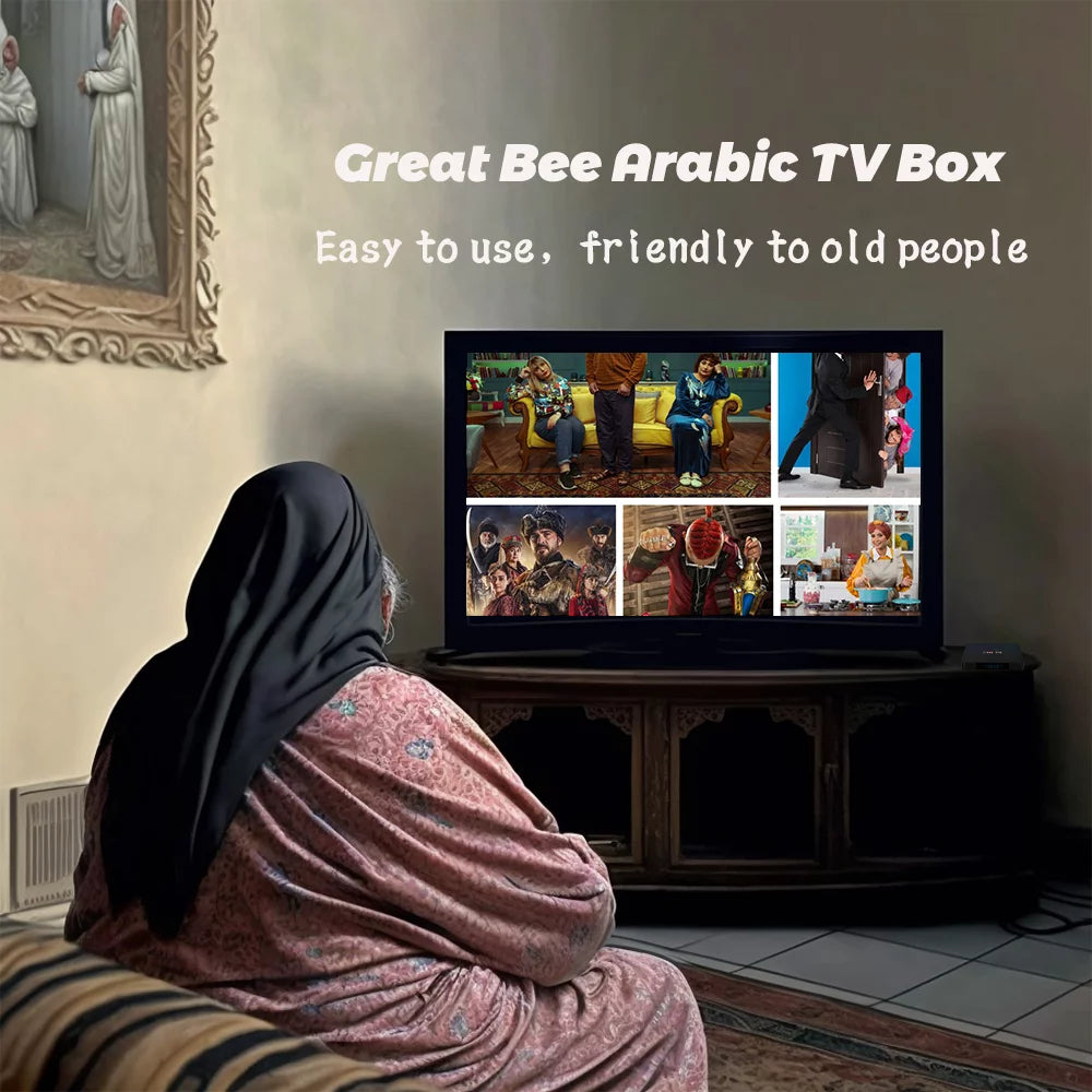 Arabic TV Box Android 10 Quad Core 4K IP Television Receiver U65300