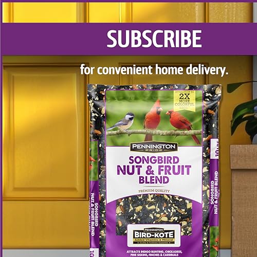 Wild Bird Seed for Outside Feeders, High-Protein, No-Waste, 15-lb Bag F570741