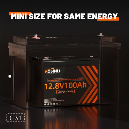 12V 100Ah Group 24 LiFePO4 Battery with 100A BMS, Deep Cycle for RV, Marine, Solar L361