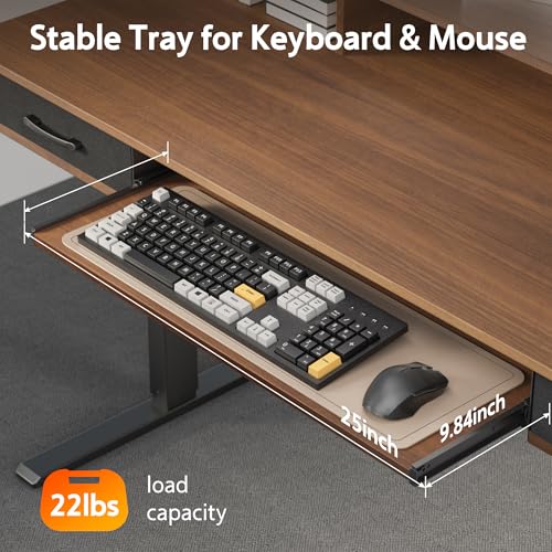 Electric Standing Desk with 2 Drawers, Height Adjustable for Home Office B137