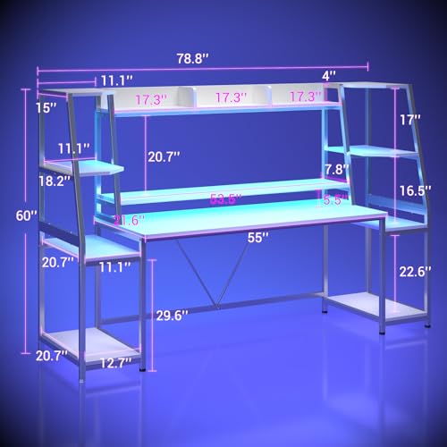 Gaming Desk with LED Lights, Hutch and Storage Shelves, Black R364