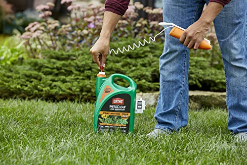 Weed Killer for Northern Lawns, Ready to Use, 1.33 gal Y780099