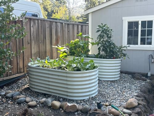 Galvanized Raised Garden Bed Oval Metal Planter Box for Vegetables Flowers A9593