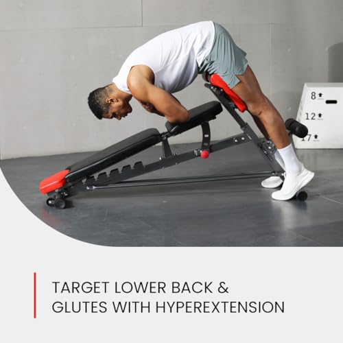 Multi-Functional Weight Bench for Full Body Workout G233