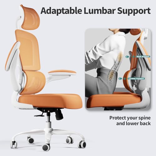 Ergonomic Mesh Office Chair with Wheels, High Back, 330 LBS Capacity C667113