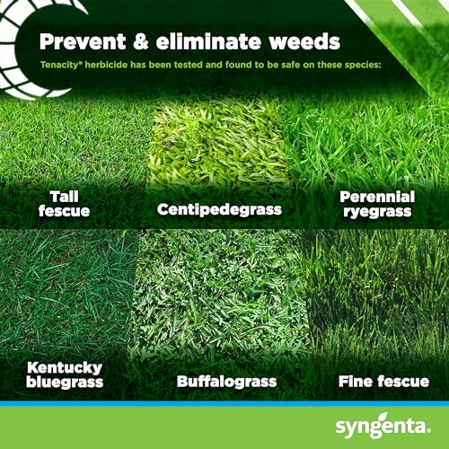 Tenacity Herbicide Pre-Emergent and Post-Emergent Weed Killer for Lawns, 8 oz Liquid H192588