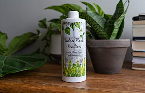 Indoor Plant Food Liquid Fertilizer for Potted Houseplants A57873