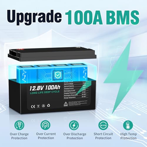 12V 100Ah LiFePO4 Battery for RV, Marine, Solar, Off-Grid V219750