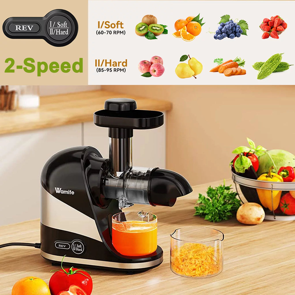 Cold Press Juicer for Fruits and Vegetables with Quiet Motor F4206