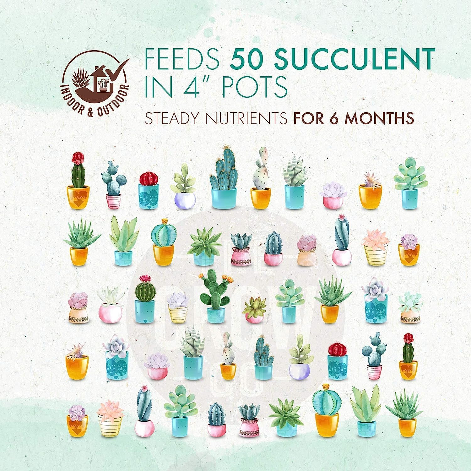 Succulent & Cactus Plant Food, Slow Release Fertilizer for Potted Plants, 5 oz P1948
