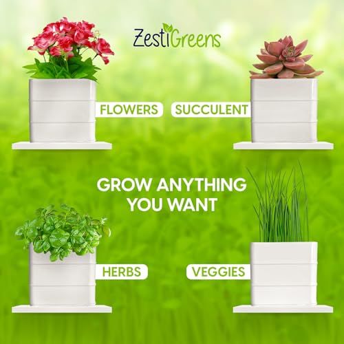 Herb Pot Planter Set with Tray for Indoor or Outdoor Use, White Metal Q3093