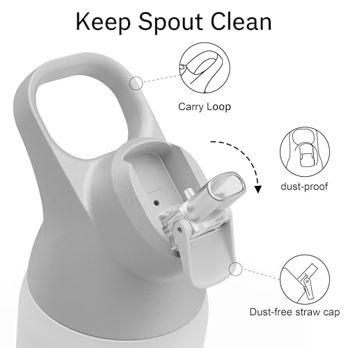 Insulated Stainless Steel Water Bottle with Straw, 24 oz X205853