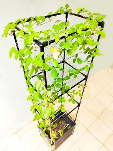 Large Outdoor Garden Planter Box with Trellis and Wheels, 2 Pack L6949