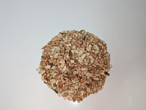 Wildlife Shelled Peanuts, 10 lbs for Birds and Squirrels Y354